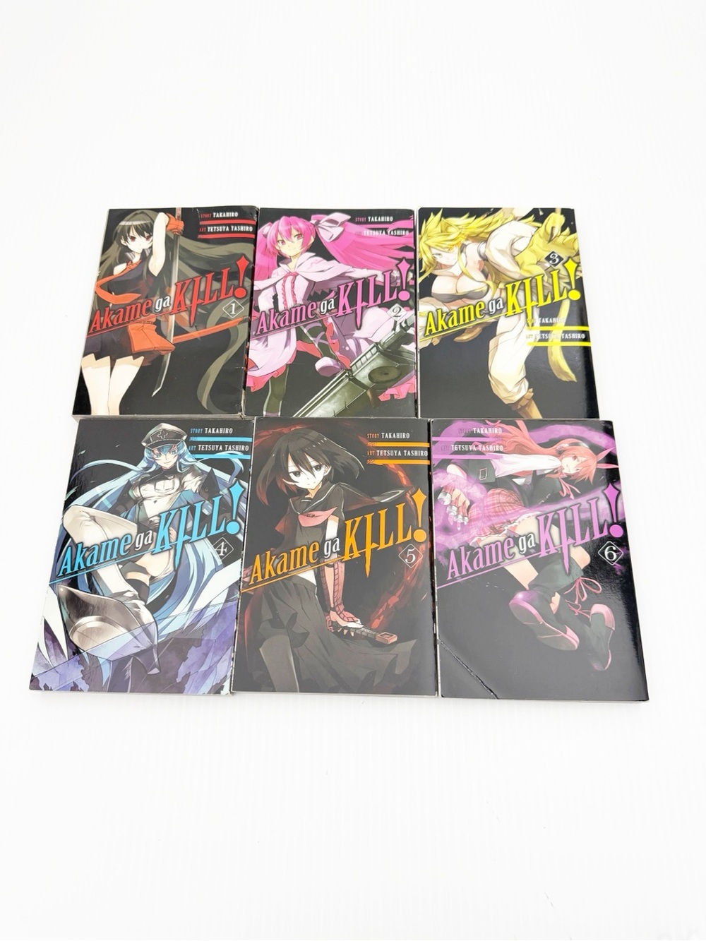 Akame Ga Kill Manga Anime Books Volumes 1-6 English Set